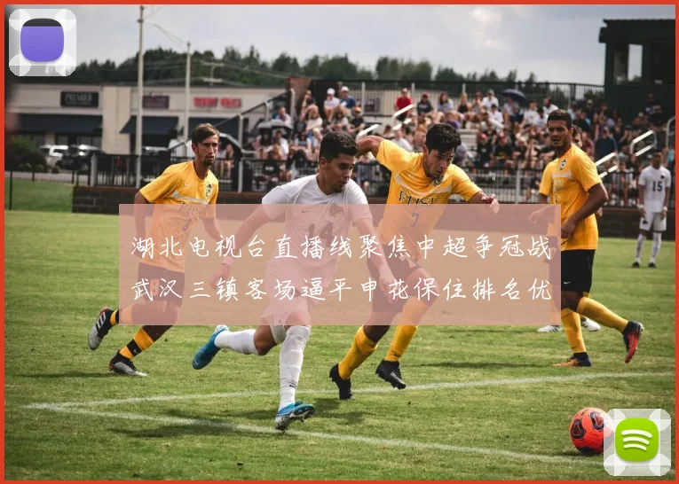 湖北电视台直播线聚焦中超争冠战武汉三镇客场逼平申花保住排名优势