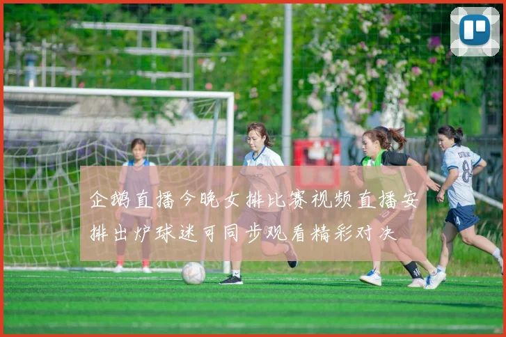 企鹅直播今晚女排比赛视频直播安排出炉球迷可同步观看精彩对决