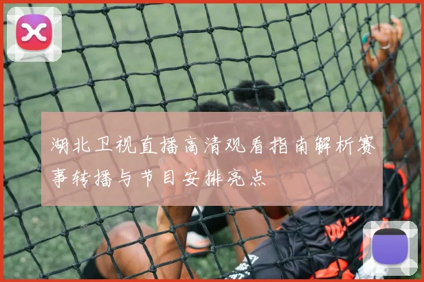 湖北卫视直播高清观看指南解析赛事转播与节目安排亮点