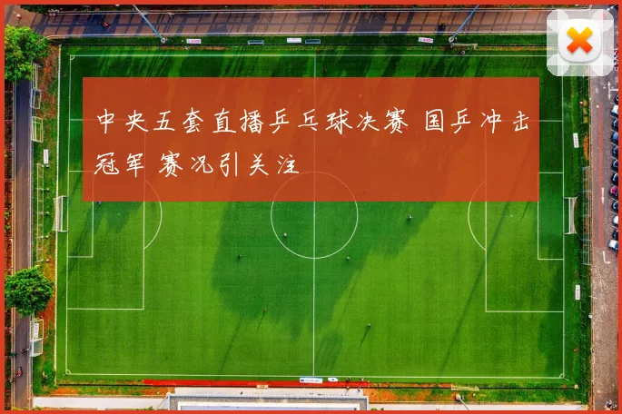 中央五套直播乒乓球决赛 国乒冲击冠军 赛况引关注