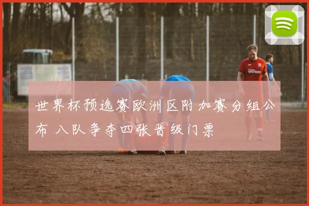 世界杯预选赛欧洲区附加赛分组公布 八队争夺四张晋级门票