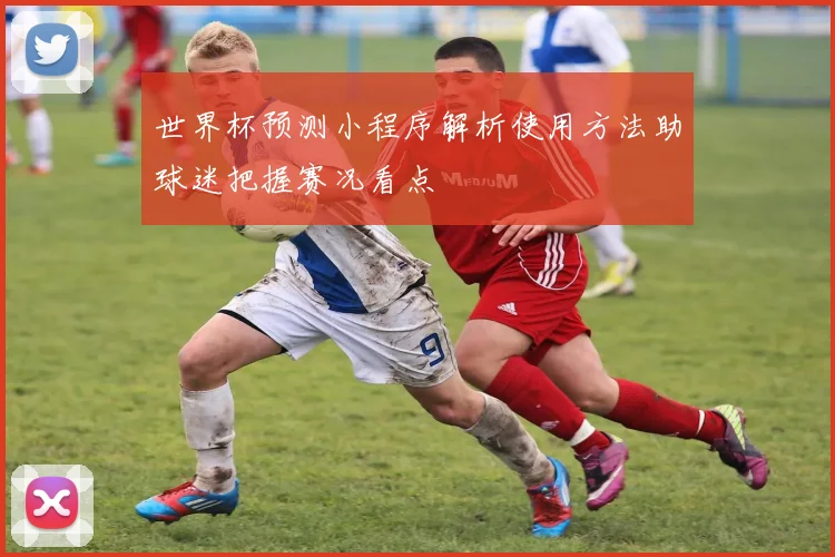 世界杯预测小程序解析使用方法助球迷把握赛况看点