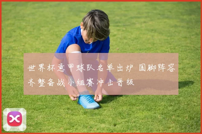 世界杯意甲球队名单出炉 国脚阵容齐整备战小组赛冲击晋级