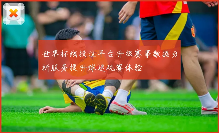 世界杯线投注平台升级赛事数据分析服务提升球迷观赛体验