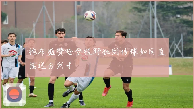 拖布盛赞哈登视野独到传球如同直接送分到手